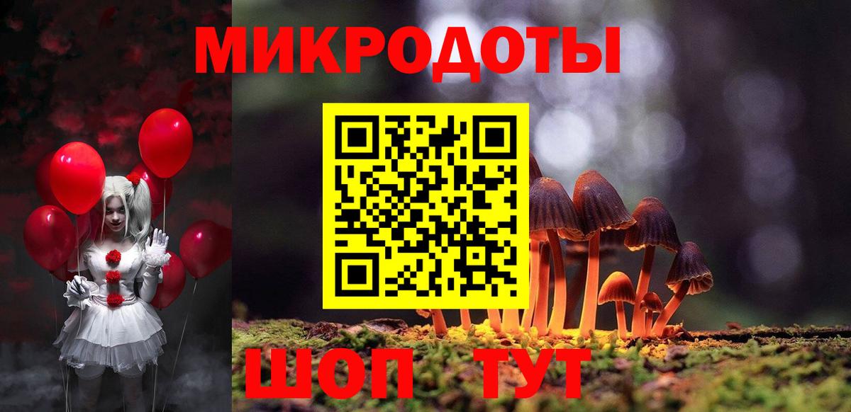 Псилоцибиновые грибы Psilocybine cubensis Луховицы